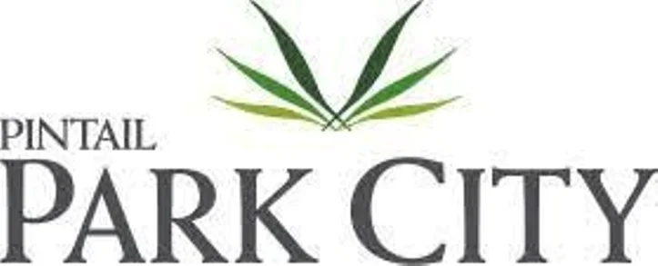 Pintail logo